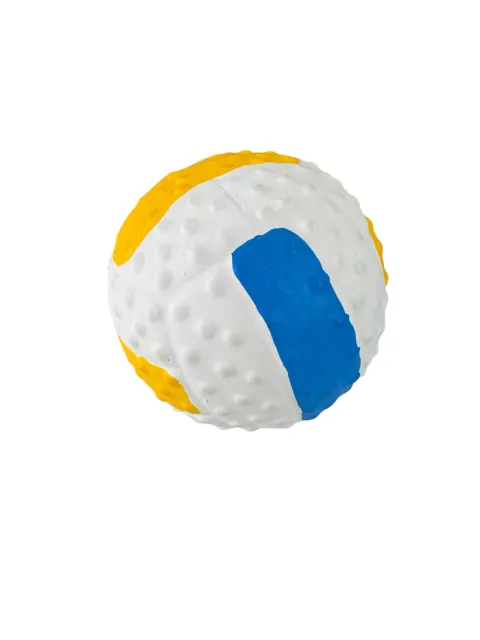 Pelota con Chifle 9,5 CM