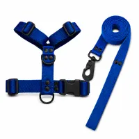 Azul Black