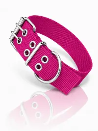 Fucsia