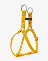 Amarillo