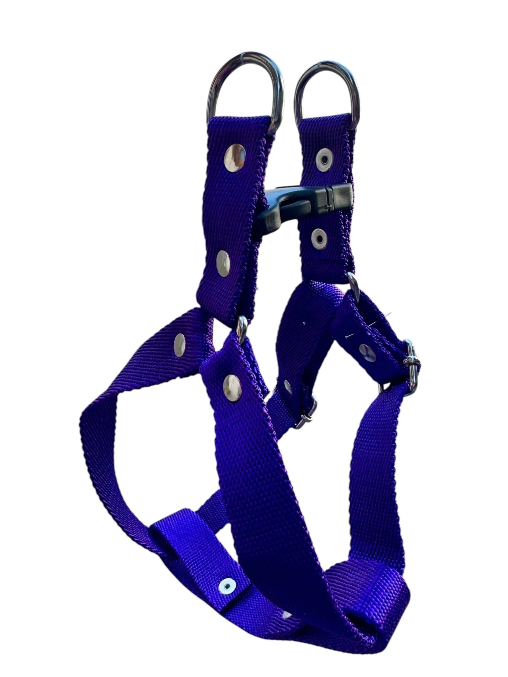 Violeta