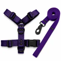 Violeta Black