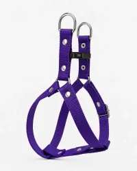 Violeta