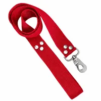 correa N5 reforzada 40mm - mosqueton anzuelo