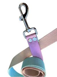 correa sublimada n1 - 15mm x 1,50Mts