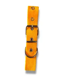 collar n2 25mm - 44cm