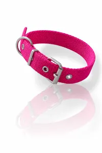 collar N1 20mm - 38cm