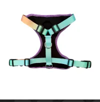 Pechera Perropolis Talle XL
