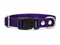 Violeta