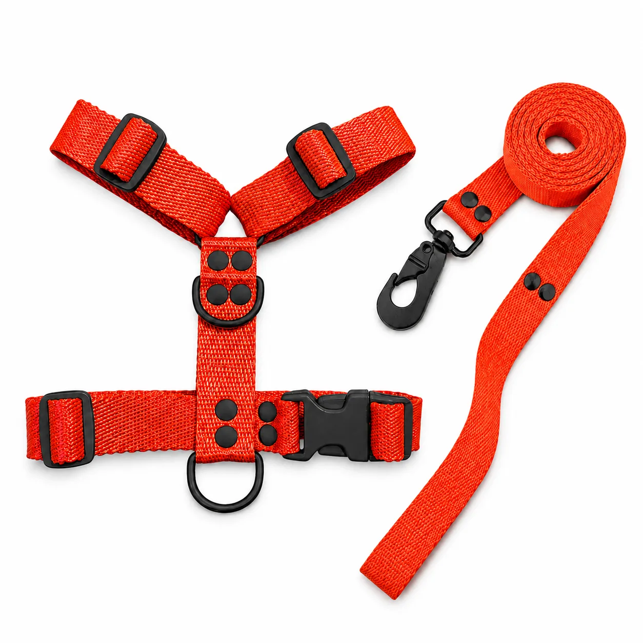 Naranja Black
