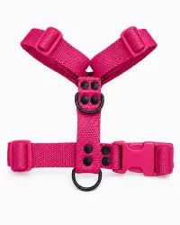 Fucsia