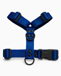 Azul Black