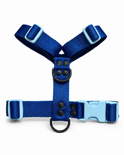 Azul Celeste