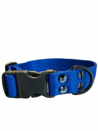 Collar Regulable N3 25mm - Liso Full Color