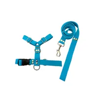 Conjunto Pretal H Liso + Correa Lisa