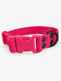 Collar Regulable N4 25mm - Liso Full Color