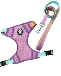 Conjunto Pechera H Sublimada + Correa Sublimada