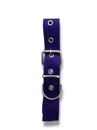 collar n2 25mm - 44cm